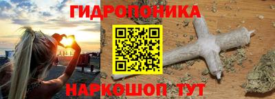 крисы Канаш