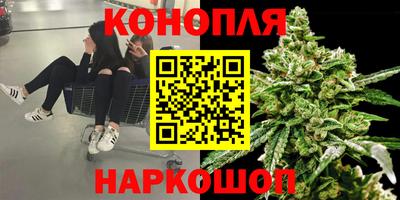 амф Кандалакша