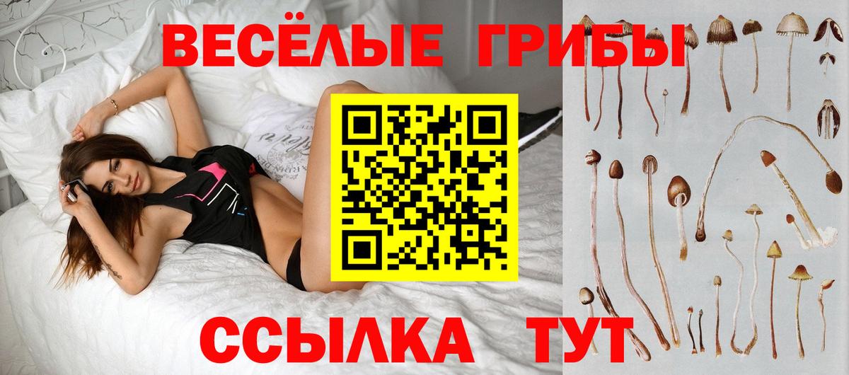 Минеральные Воды  Галлюциногенные грибы мицелий  Галлюциногенные грибы Psilocybe  Вход с VPN 